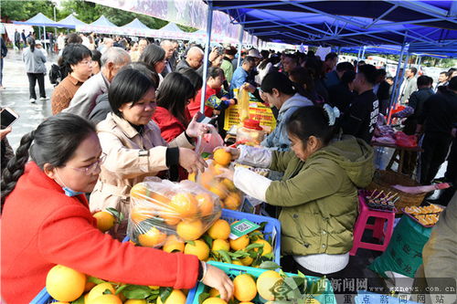 德保 金秋时节话丰收 扶贫产品购销忙